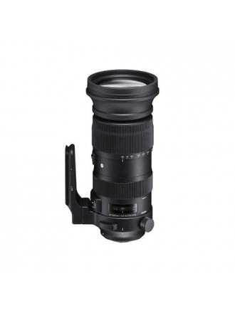 Obiettivo Sigma 60-600 mm f/4,5-6,3 DG OS HSM SPORT per Canon