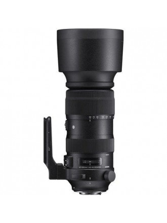 Obiettivo Sigma 60-600mm f/4.5-6.3 DG OS HSM SPORT per Nikon