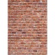 Fondale Westcott X-Drop - Classico muro di mattoni (5' x 7')
