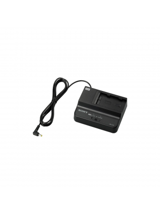Caricabatterie / adattatore CA Sony BC-U1A per BP-U90, U60, U60T, U30