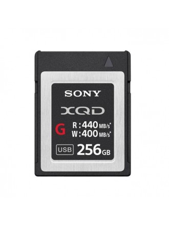 Scheda di memoria XQD serie G da 256 GB di Sony